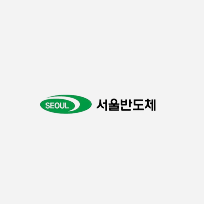 서울반도체 베트남 서버